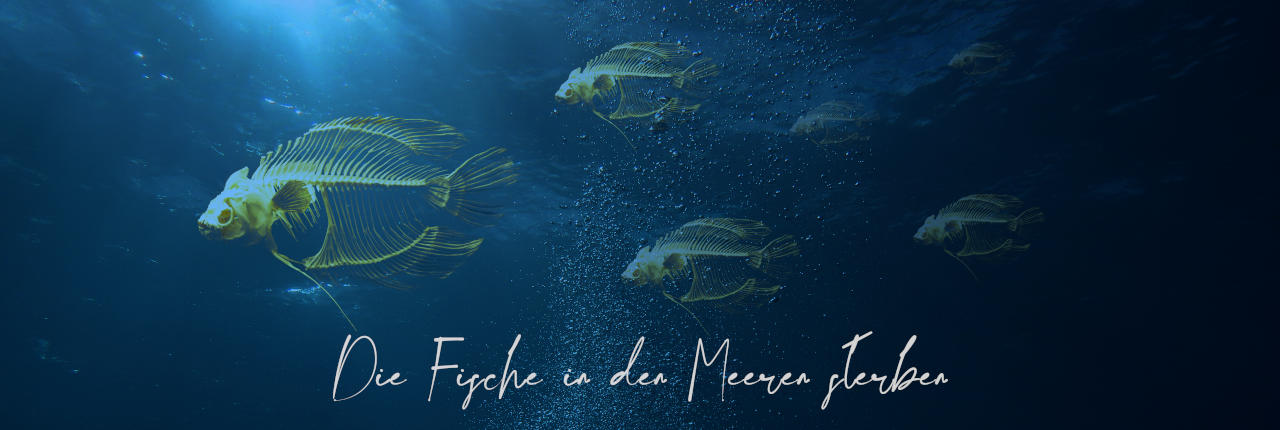 Bild: Die Fische in den Meeren sterben ...